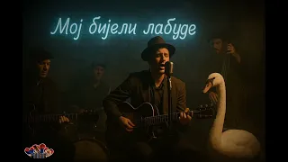 krajina bluz ptico moja bijeli labude blues srpskisvet