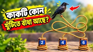 কাকটি কোন খুটিতে বাধা আছে😎
