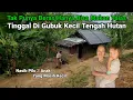 Lagu Memilukan Hanya Makan Talas Tinggal Di Gubuk Tengah hutan