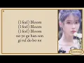 Download Lagu IU (아이유) - BLUEMING LYRICS
