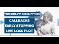Callbacks Early Stopping Live Loss Plotting Deep Learning Keras TensorFlow and Python