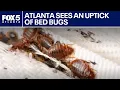 Does Atlanta have a bed bug problem FOX 5 News