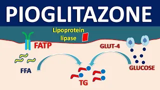 Pioglitazone - Mechanism side effects precautions and uses