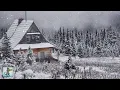 Download Lagu Relaxing Snowfall: Beautiful Falling Snow - The Best Relax Music