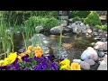 Pheasant Run Resort Pond in Springtime