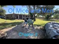 Chapter 2 Of Mice and Men Summary