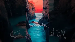 سورة يس للشيخ سيد سعيد الشيخ سيد سعيد سورة يس قران 