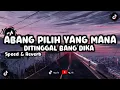 Download Lagu DJ ABANG PILIH YANG MANA X DITINGGAL BANG DIKA REVERB