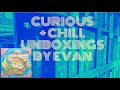 Ham s Sandwich Shop Curious Chill Unboxings Episode 39