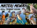 MATERI MEWAH‼️Roll Tembak Kasar,,Masteran Gampang Masuk#masteranburung #pancinganburung