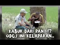 Lagu SEDIH BANGET LIHATNYA ❗️😭❗️ODGJ INI SUDAH BEBERAPA HARI TIDAK MAKAN 