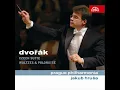 Waltzes for String Orchestra, Op. 54 B.101 - Moderato