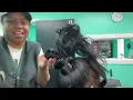 How To Detail Messy Bun Quick Weave