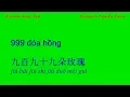 Download Lagu Karaoke Song Ngữ - 999 đóa hồng - 九百九十九朵玫瑰 (C Min)