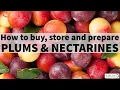 How to Buy Store and Prepare Plums Nectarines
