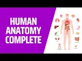 COMPLETE Human Anatomy in 1 Hour A to Z 3D Human Body Organ Systems