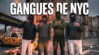 I ENTERED NYC GANG TERRITORY