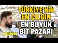 Download Lagu NİLÜFER BİT PAZARI BURSA 1,BÖLÜM  #202