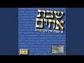 Download Lagu Aini (feat. Michoel Schnitzler)