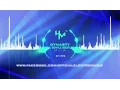 Download Lagu MIIA - Dynasty (The Gentle Bootleg)