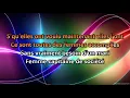 MICHEL SARDOU   ETRE UNE FEMME VERSION LIVE 2010