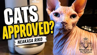 I Finally Found a Wet Cat Feeder That Actually Works | Neakasa Riko Review