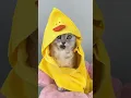 Spa Day