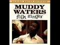 Muddy Waters -  Good Morning Little School Girl