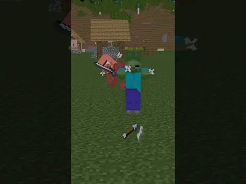 Miss the target #minecraft