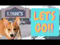 CORGI VISITS LOWES II DOGmas VLOGmas II Ep 4