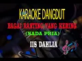 Download Lagu Karaoke Bagai Ranting Yang Kering Nada Pria - Iis Dahlia (Karaoke Dangdut Tanpa Vocal)