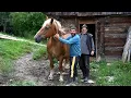 Download Lagu Bătrân de 84 de ani și cei 2 fii trăiesc IZOLAȚI în MUNȚI | O lume pe care CIVILIZAȚIA a uitat-o