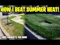 How I beat summer heat stress on my lawn Three products Prograss EC update