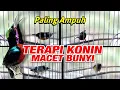 Download Lagu TERAPI KONIN BAHAN DAN MACET BUNYI AGAR GACOR