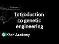 Introduction to genetic engineering Molecular genetics High school biology Khan Academy