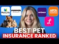 Best Pet Insurance Companies Ranked 2026 Honest Comparison Top Picks