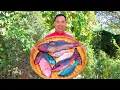 Download Lagu Ikan Berwarna-warni dari Laut Dalam! Dimasak dalam Asam, Manis, Pedas, 5 Rasa Sekaligus