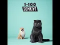 1-100 - Somkiat
