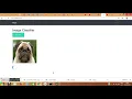Image-Classifier-webapp