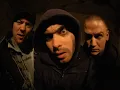 Hilltop Hoods - The Sentinel with lyrics