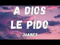 Juanes - A Dios Le Pido (Lyrics/letra)
