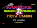 Download Lagu Pesta panen Elvi Sukaesih karaoke Nada Cowok