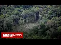 Download Lagu A drought with roots in the Amazon jungle - BBC News