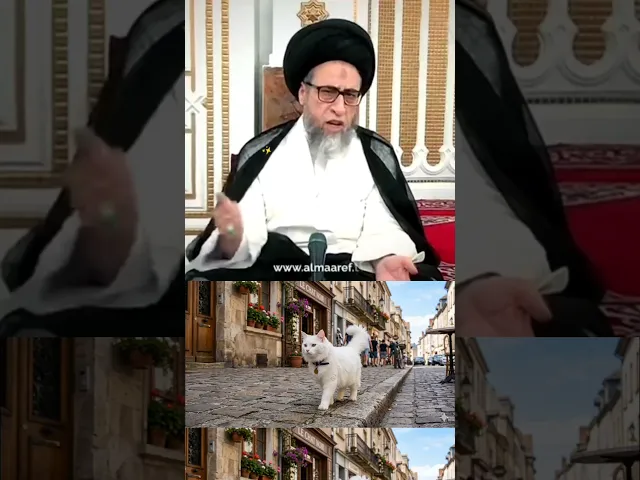⁣القطط 🐈الضائعه شنو حكمها بالشرع. سيد صباح شبر