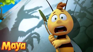 ¡Willy Tiene Miedo a las Sombras! 👤😱 La Abeja Maya | Recopilación | Dibujos animados