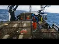 Deadliest Catch Crew Member Found Dead