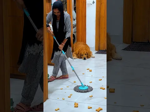 PeaNut Vs Treats #shorts