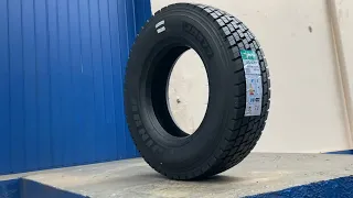                                            دندنها