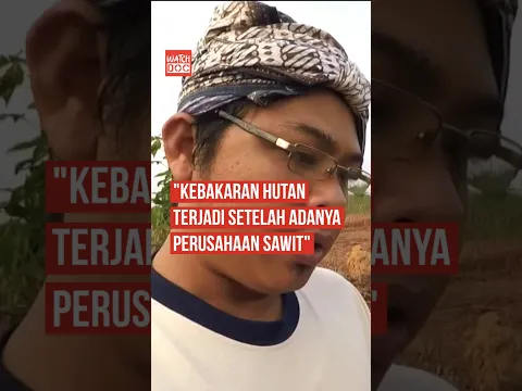 Kebakaran Hutan Terjadi Setelah Adanya Perusahaan Sawit