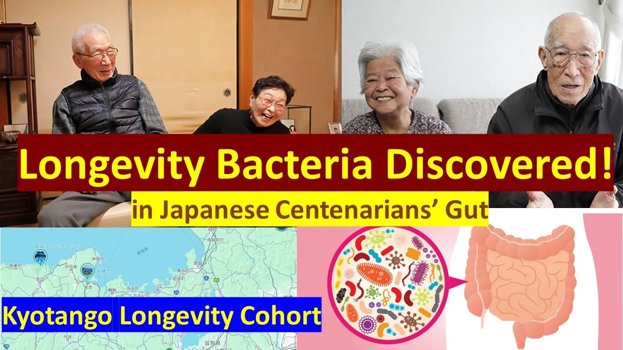 Outline Video What Is the Longevity Bacteria Discovered in Japanese Centenarians? (The Kyotango Study Explained)